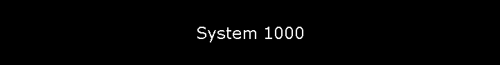 System 1000